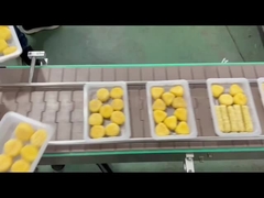 mesin penyegelan baki otomatis 4R dengan pembuangan gas vakum